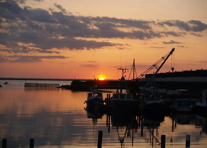 Dom wakacyjny C11569-hemmet-fasanvaenget-1 *